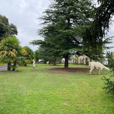 Loft Non Attenant A La Propriete 4 Hotes Sauna Et Jacuzzi En Option 펜션 사흘라 라 카네다