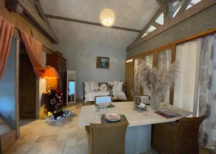 度假居 Loft Non Attenant A La Propriete 4 Hotes Sauna Et Jacuzzi En Option 萨尔拉拉卡内达